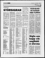 Síða 13