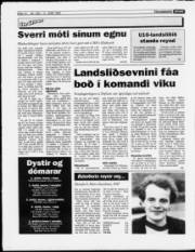Síða 14