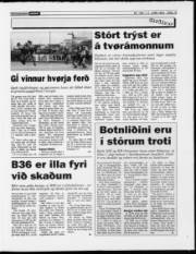 Síða 15