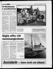 Síða 17