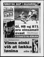 Síða 1