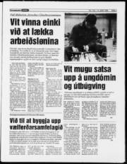 Síða 5