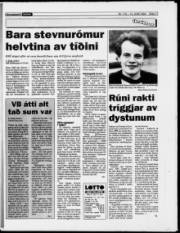 Síða 17