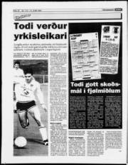 Síða 18