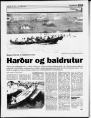 Síða 20