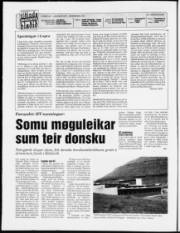 Síða 2