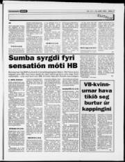 Síða 17