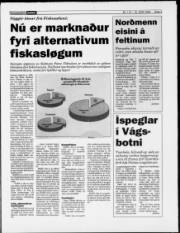 Síða 3