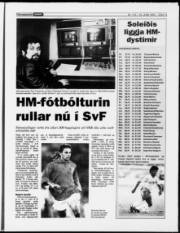Síða 13