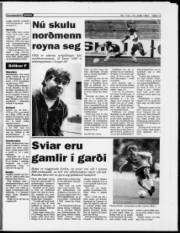 Síða 17