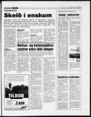 Síða 19