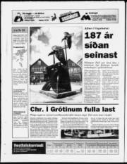 Síða 24