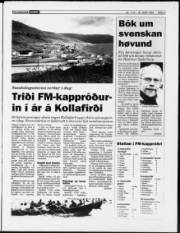 Síða 3