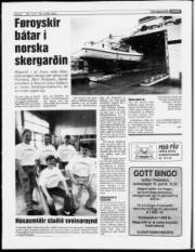 Síða 8