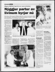 Síða 13