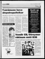 Síða 17
