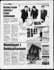 Síða 3