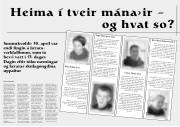 Síða 8