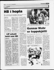 Síða 14