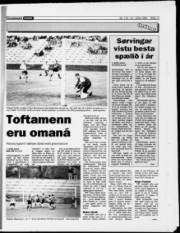Síða 17