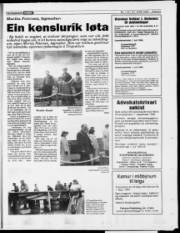 Síða 21