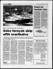 Síða 3