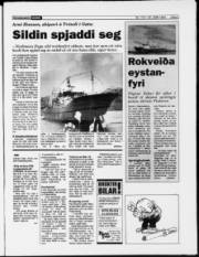 Síða 5