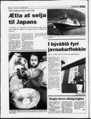 Síða 6