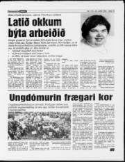 Síða 15