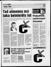 Síða 17