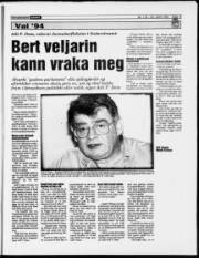 Síða 19