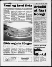 Síða 3