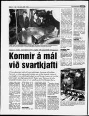 Síða 6