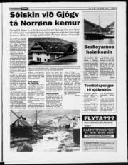 Síða 3