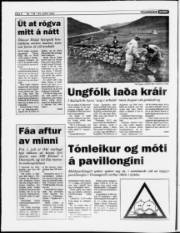 Síða 8