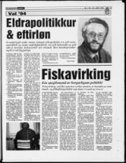 Síða 19