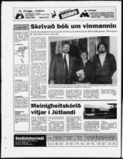 Síða 28