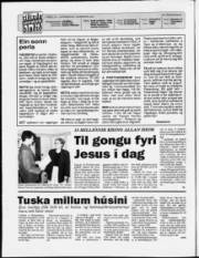 Síða 2