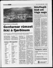 Síða 5