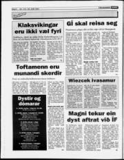 Síða 6