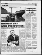 Síða 17