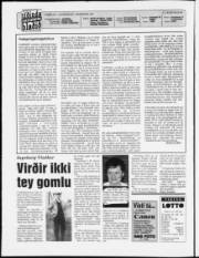 Síða 2