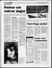 Síða 3