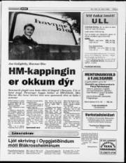Síða 5