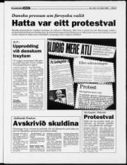 Síða 3