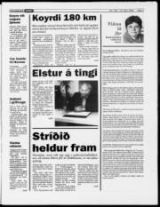 Síða 7