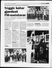 Síða 8