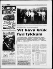 Síða 15