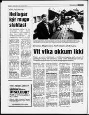 Síða 6