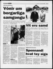 Síða 7
